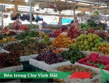 Giá Ngó Sen Tại Chợ Và Siêu Thị Tại Nha Trang